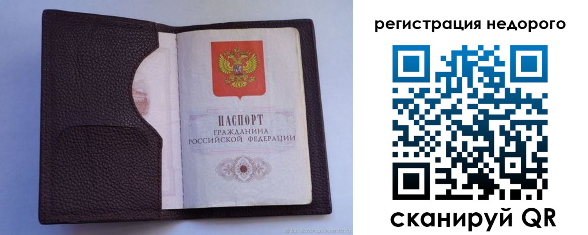где прописаться в Мурино